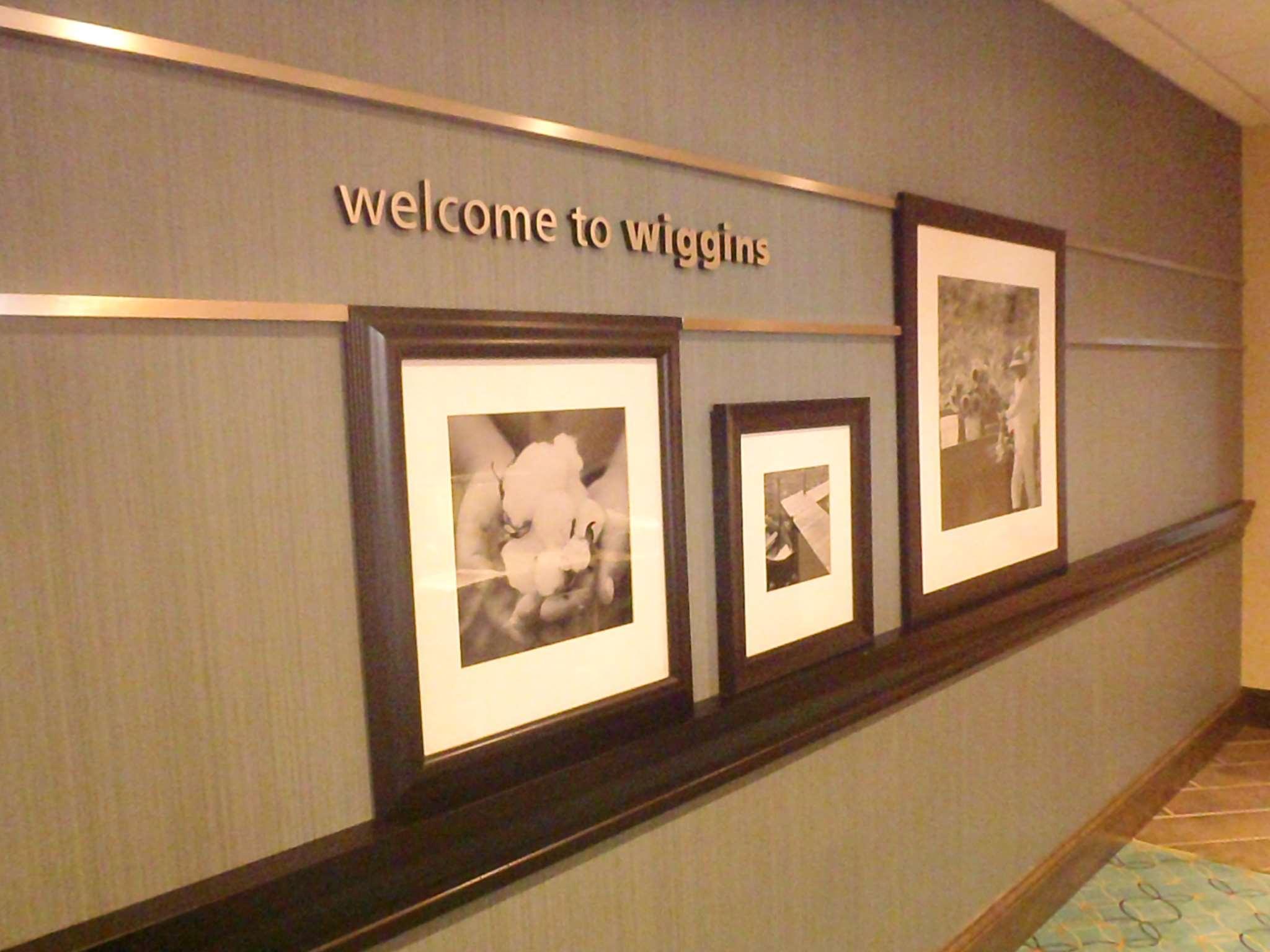 Hampton Inn & Suites Wiggins Buitenkant foto